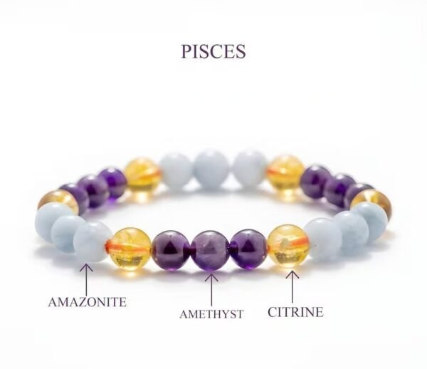 Zodiac Sign Bracelets - Image 19